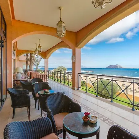 Mariposas * 科拉雷侯