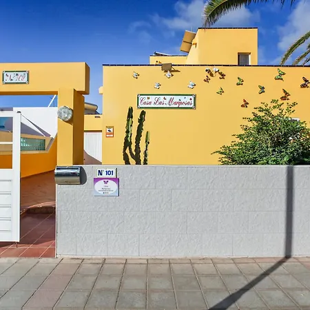 Mariposas Corralejo
