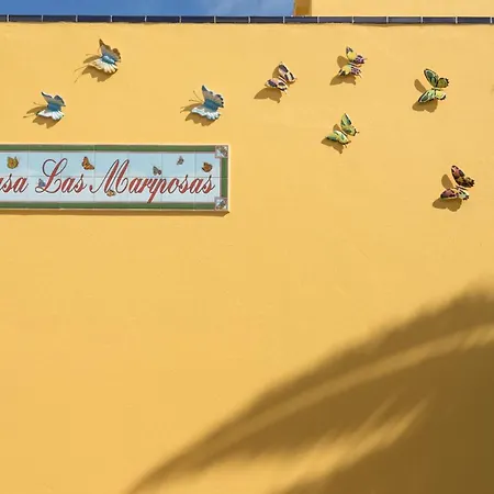 Mariposas *